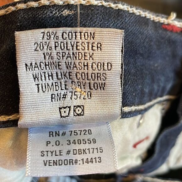 Daytrip Lynx Ankle Skinny Jeans with Embroidery Details - Picture 5 of 6